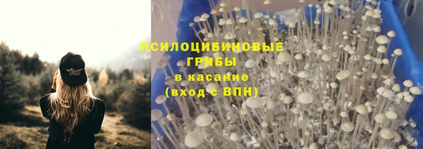 герыч Вяземский