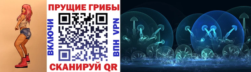 Галлюциногенные грибы Psilocybine cubensis  Купить закладки  Нижние Серги 